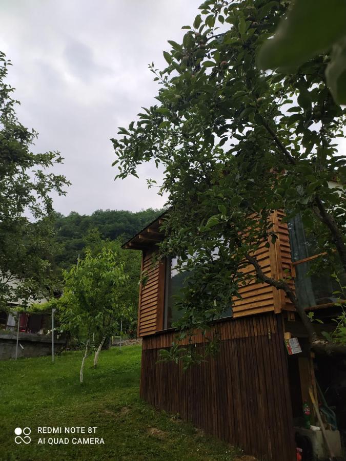 Lenilenii Bungalows Яйце Екстер'єр фото